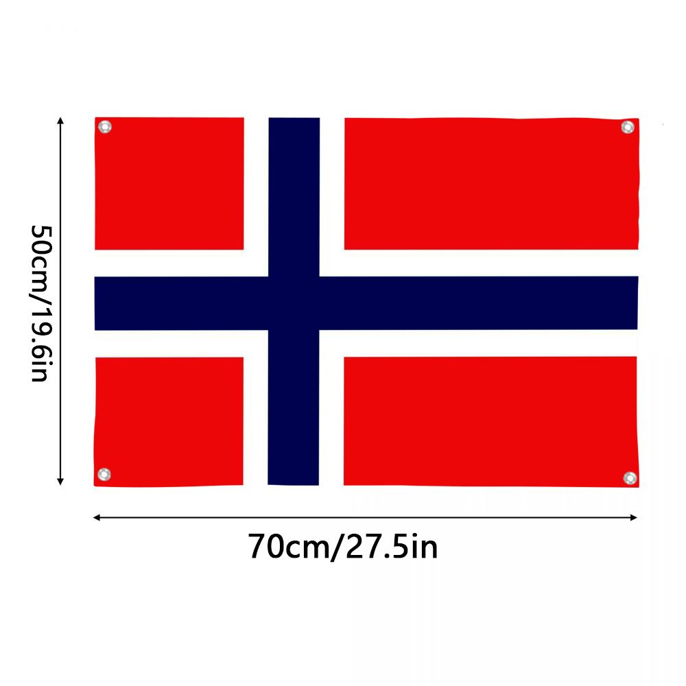 1PC Famous Norway Flags Retro  - Retro Gaming Banner recensione e prezzo