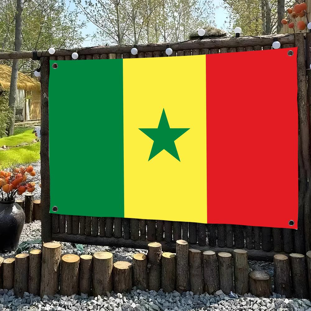 1PC Classic Senegal Flags Retr - Retro Gaming Banner recensione e prezzo